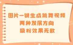 图片一键生成跳舞视频，两种发展方向，吸粉效果无敌
