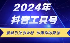 24年抖音最新工具号日引流300+创业粉,日入5000+