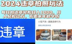 2024违章拍照新玩法,推广躺赚+拍照赚钱双模式,日入1000+