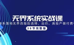 无界系统实战课：全体系落地无界改版后选择、出价、高投产做付费引流-38节