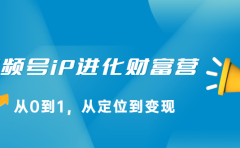 视频号iP进化财富营第1期，21天从0到1，从定位到变现