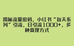 揭秘流量密码，小红书“每天系列”引流，日引流1000+，多种变现方式