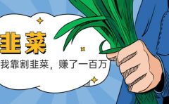 我靠割韭菜 赚了一百万