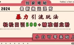 最新搬运混剪暴力引流玩法,轻松日引500+精准创业粉,小白可零基础上手