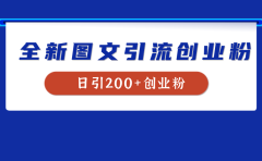 全新创业粉引流思路，我用这套方法稳定日引200+创业粉