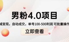 道哥说创业男粉1+2+3+4.0项目:私域变现 自动成交 可批量