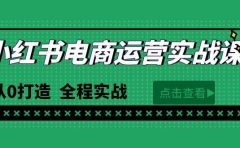 最新小红书·电商运营实战课，从0打造  全程实战（65节视频课）