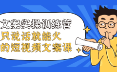 文案实操训练营，只说话就能火的短视频文案课