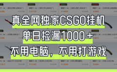 真全网独家CSGO挂机，单日捡漏1000+