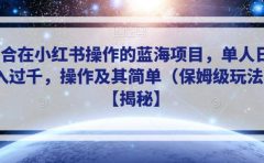 适合在小红书操作的蓝海项目，单人日收入过千，操作及其简单（保姆级玩法）【揭秘】