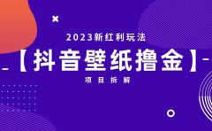 2023新红利玩法：抖音壁纸撸金项目