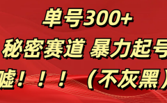 单号300+  秘密赛道 暴力起号  （不灰黑）