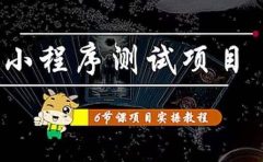 小程序测试项目 从星图 搞笑 网易云 实拍 单品爆破 抖音抖推猫小程序变现