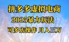 拼多多虚拟电商,不囤货不垫资的虚拟电商