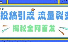 所有导师都在和你说的独家裂变引流到底是什么首次揭秘全网首发，24年最强引流，什么是投稿引流裂变流量，保姆及揭秘