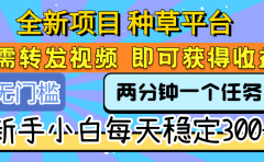 全新项目 种草平台 只需要转发任务视频 即可获得收益 新手小白每天稳定300+