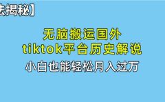 【全新玩法揭秘】无脑搬运国外tiktok历史解说，月入过万绝不是梦