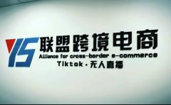 Tiktok无人直播,不出镜不剪辑不拍摄不发货无售后的跨境短视频玩法