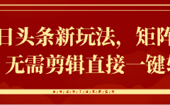 今日头条新玩法，矩阵操作，无需剪辑直接一键转发