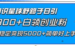 知识星球野路子日引300+白领创业粉，日稳定变现5000+简单好上手！