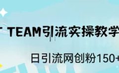 ST TEAM引流实操课，日引流网创粉100+