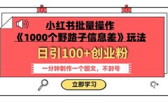 小红书批量操作《1000个野路子信息差》玩法 日引100+创业粉 一分钟一个图文