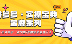 拼多多·实操宝典:金牌系列“小白到高手”带你全方位玩转拼多多各种玩法
