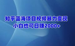 知乎蓝海项目视频暴力变现  小白也可日赚2000+