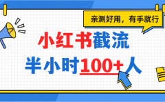 小红书截流半小时100+，亲测好用