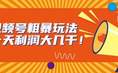 视频号粗暴玩法，一天利润大几千