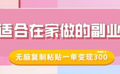 适合在家做的副业，小红书冷知识账号，无脑复制粘贴一单变现300
