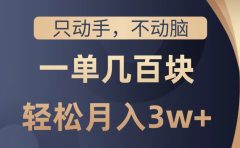 只动手不动脑,一单几百块,轻松月入2w+,看完就能直接操作,详细教程