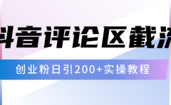 抖音评论区20字截流200+创业粉，日变现四位数实操教程