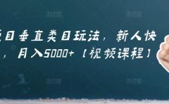 虚拟项目垂直类目玩法，新人快速起店，月入5000+【视频课程】