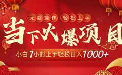 当下火爆项目，操作简单，小白仅需1小时轻松上手日入1000+
