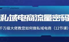 私域电商流量密码：千万级大佬教您如何做私域电商（12节课）