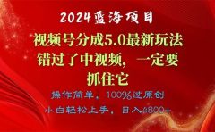2024蓝海项目，视频号分成计划5.0最新玩法，错过了中视频，一定要抓住...