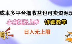 0成本多平台撸收益也可卖资源玩法,小白轻松上手。详细教学日入500+附资源
