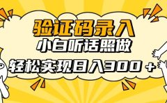 验证码录入，小白听话照做，轻松实现日入300＋