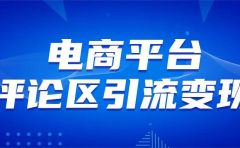 电商平台评论引流变现，无需开店铺长期精准引流，简单粗暴