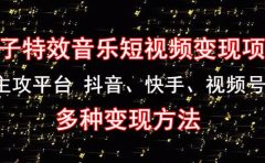 《粒子特效音乐短视频变现项目》主攻平台 抖音、快手、视频号 多种变现方法