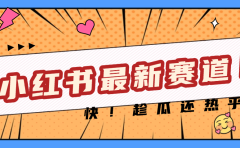 妈呀，小红书的这个赛道涨粉也太快了吧