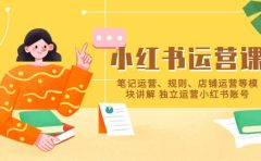 小红书·运营课，笔记运营、规则、店铺运营等模块讲解 独立运营小红书账号