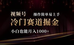 2024视频号三国冷门赛道掘金,操作简单轻松上手,小白也能月入1000+