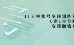 好望角·11天视频号变现训练营，从0到1打造变现赚钱系统（价值398）