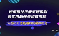 如何通过抖音实现盈利，最实用的账号运营课程 从0到1打造能赚钱的爆款账号