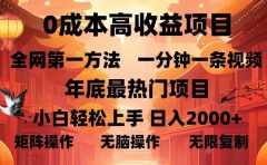 0成本高收益蓝海项目，一分钟一条视频，年底最热项目，小白轻松日入2000＋
