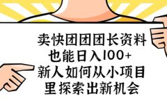 卖快团团团长资料也能日入100+ 新人如何从小项目里探索出新机会