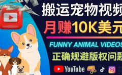 搬运TIKTOK视频到YouTube,并进行二次创作,月赚1万美元以上