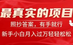 最真实的项目,照抄答案,有手就行,新手小白月入过万轻轻松松